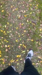 Viseu webcam model stream image