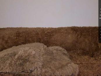 Tina_may webcam model stream image