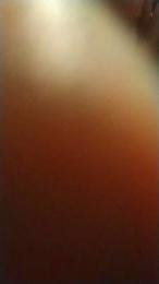 Primate78 webcam model stream image