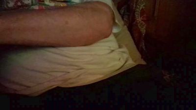 porcinoTN webcam model stream image