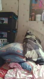 WildLady webcam model stream image