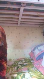 WildLady webcam model stream image