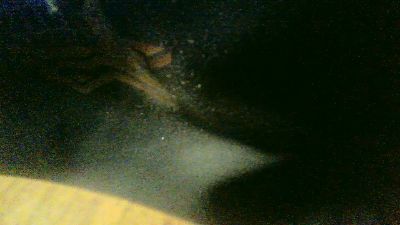 robyk9 webcam cam4 model stream image