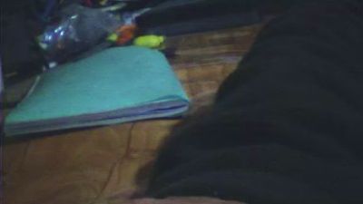 betercim webcam model stream image