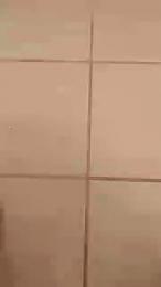 XPokerchipX webcam model stream image