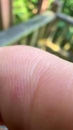 santimunez99 webcam model stream image