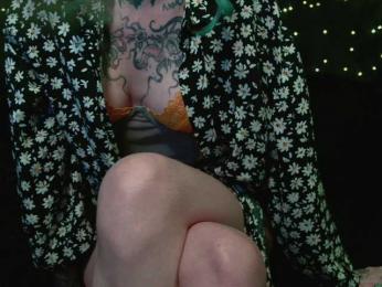 LittleSpaceMouse- webcam model stream image