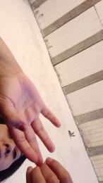 Mariacurvas webcam model stream image