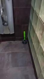 Porkislh2 webcam model stream image