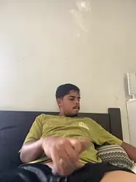 guimvx webcam model stream image