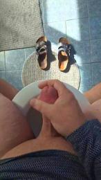 koelner_sex webcam model stream image