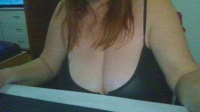 Srdcezledu webcam model stream image