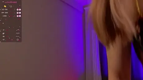 zelda_1 webcam model stream image