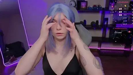 zelda_1 webcam model stream image