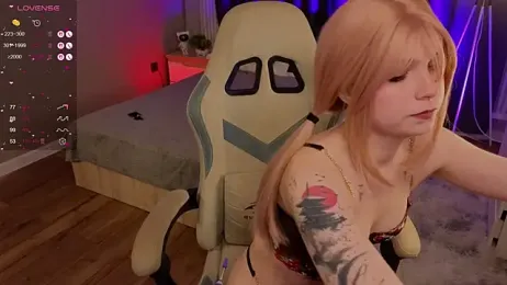 zelda_1 webcam model stream image