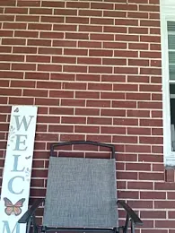 T92bbc webcam model stream image