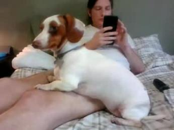 blazeentertainment2025 webcam model stream image