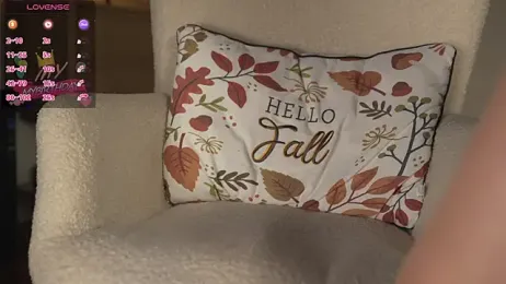 HelloHodge webcam model stream image