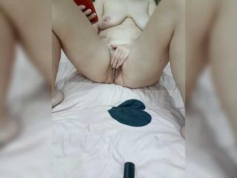 RosFair webcam model stream image