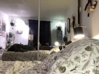 annabelleholly6666 webcam model stream image