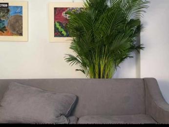 MaryGii webcam bongacams model stream image