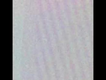 angielee01 webcam model stream image