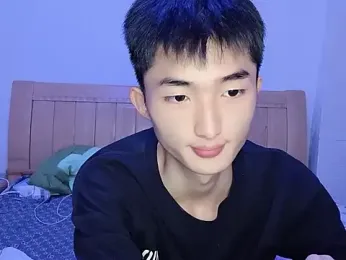 N228 webcam model stream image