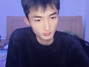 N228 webcam model stream image