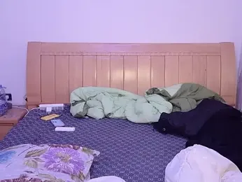 N228 webcam model stream image