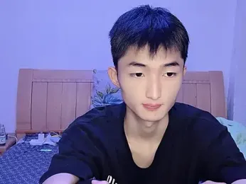 N228 webcam model stream image