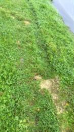 Lougarou78 webcam model stream image