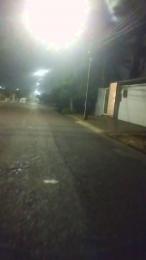 roratinho webcam model stream image