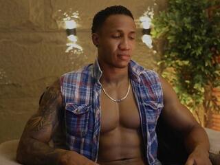 Logan Varela webcam model stream image