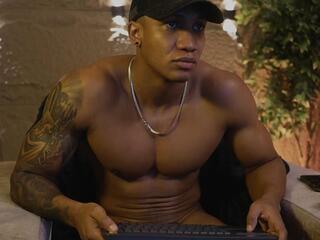 Logan Varela webcam model stream image