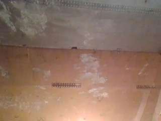 chattylane webcam model stream image