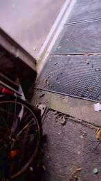 SlutboyBen webcam cam4 model stream image