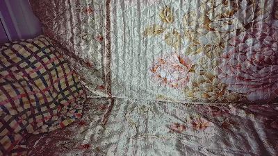 jamismu webcam model stream image