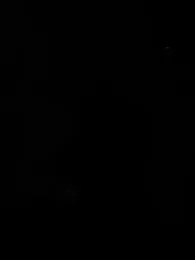 high3ndlowlife webcam model stream image