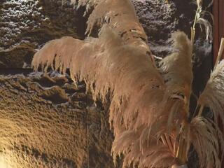 Ema Malkova webcam model stream image