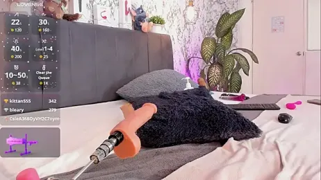 aihnoa_split webcam model stream image