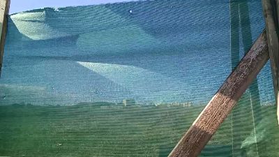 Miss_fantasy_ webcam model stream image