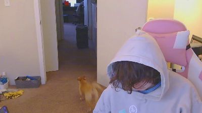 Roomfullofcum webcam model stream image