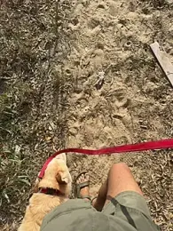 Harmanarab_adrian webcam model stream image