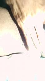 JusMejusme1980 webcam model stream image