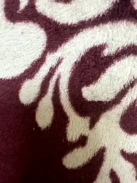 poision51 webcam model stream image