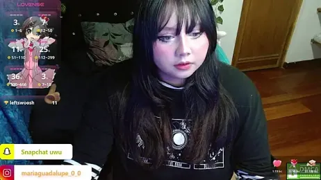 litlle_cat webcam model stream image