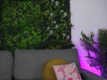 AmiraRoshen webcam model stream image