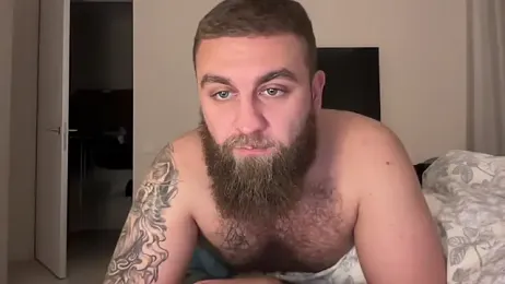 Bear_bear_ webcam model stream image