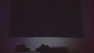 vic_victor webcam model stream image