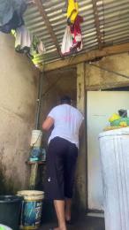 Lyne1981 webcam model stream image